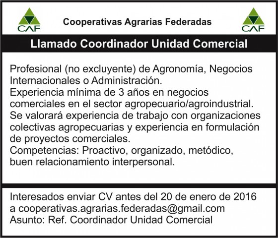Llamado COORDINADOR UNIDAD COMERCIAL