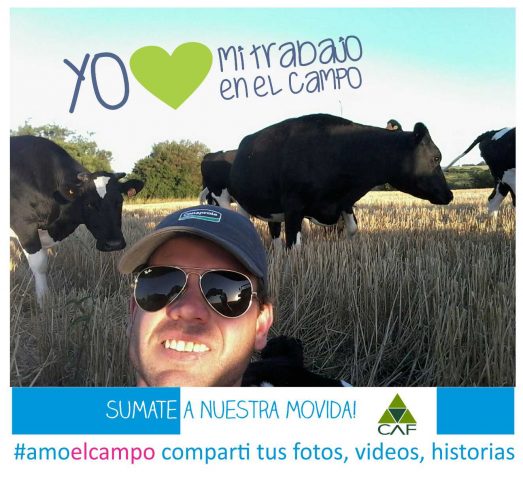 yo-amo-23-set-ultimo