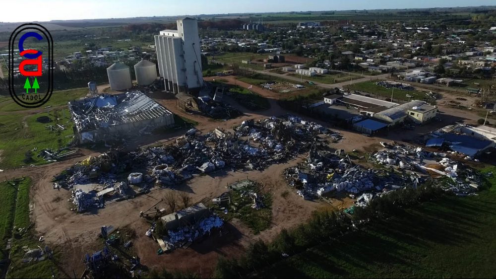 como_quedamos CADOL – CAF – Cooperativas Agrarias Federadas