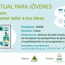 Flyer de convocatoria al taller virtual para jóvenes interesados en incorporar las perspectivas de género, generaciones y la participación en sus programas y proyectos.