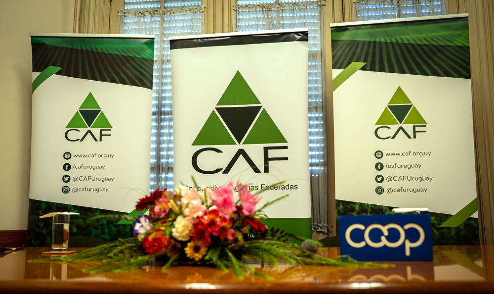 1 (1) (1) (1) (1) (1) (1)